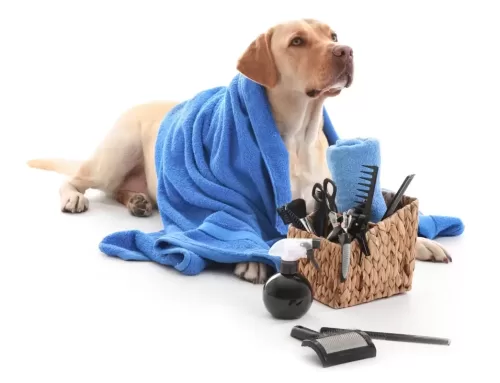 Pet Hygiene Essentials